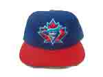 Toronto Blue Jays